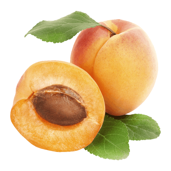 Apricot