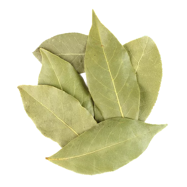 Bay Leaf