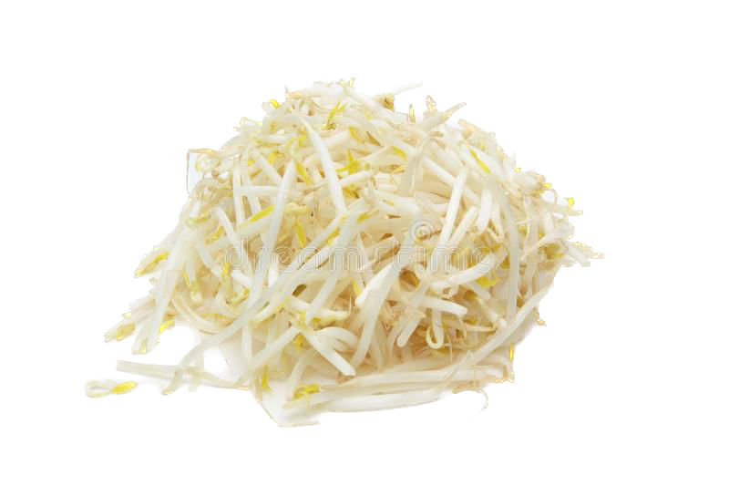 Bean Sprouts