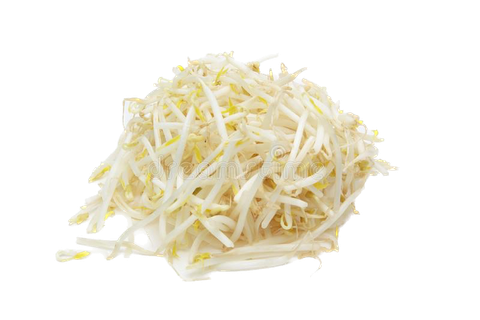 Bean Sprouts