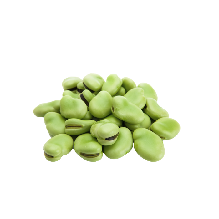 Broad Beans