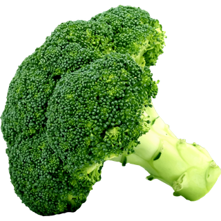 Broccoli