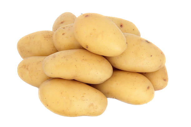 Charlotte Potatoes