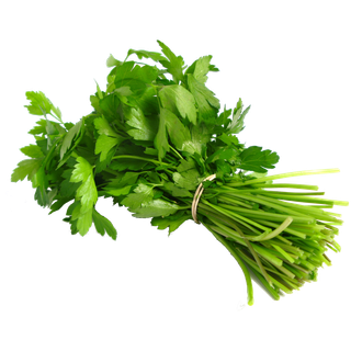 Coriander