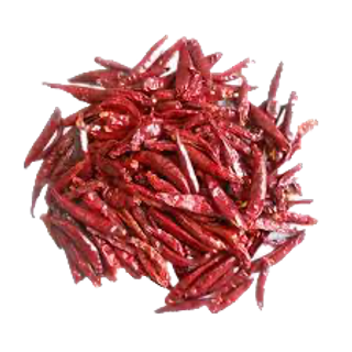 Dried red chilli peppers