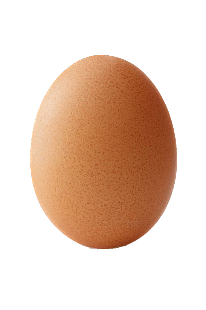 Egg