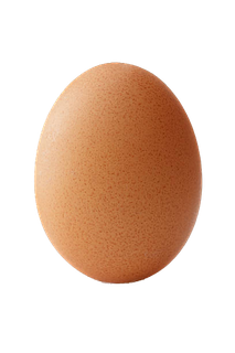 Egg