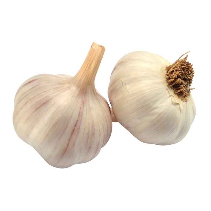 Garlic Clove