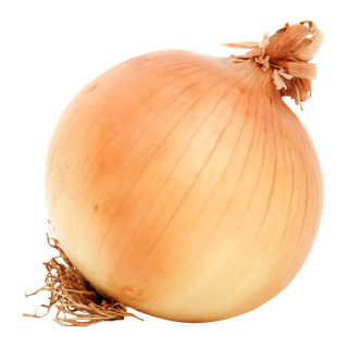 Onion