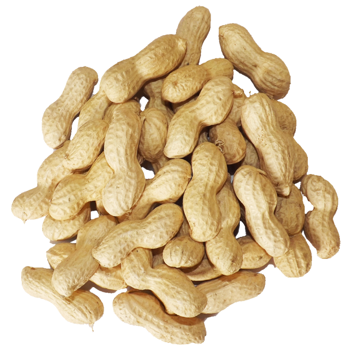 Peanuts