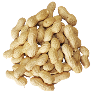 Peanuts