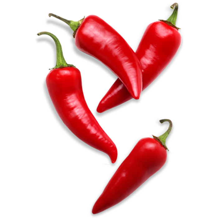 Red Chilli