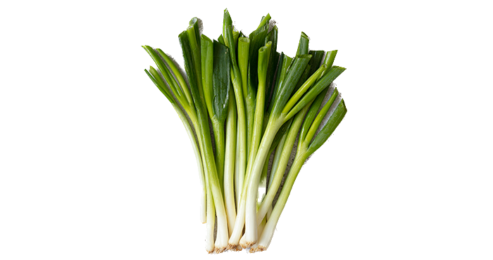 Spring Onions