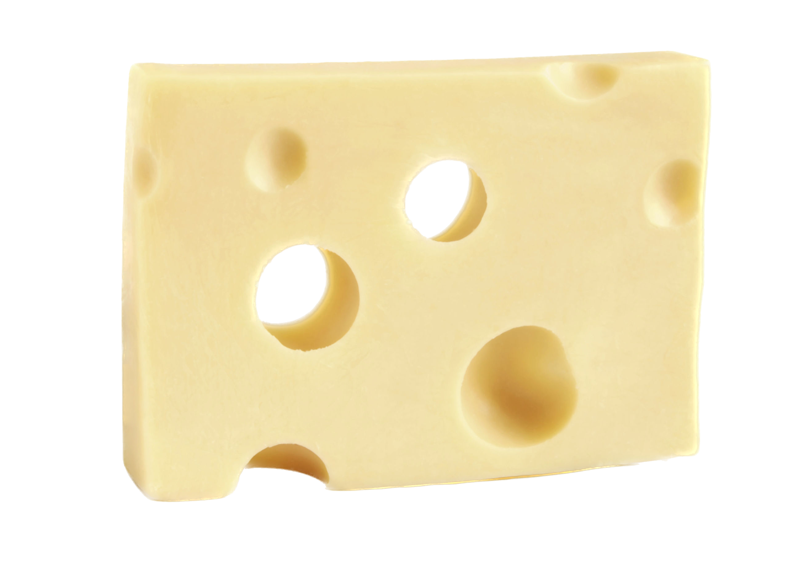 Swiss cheese