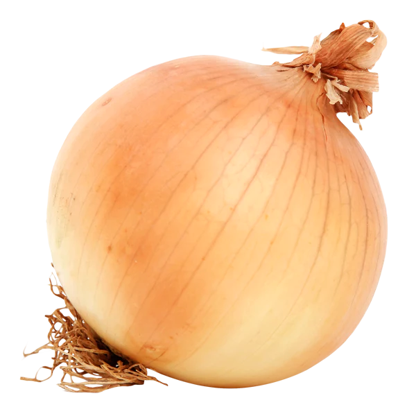 Yellow Onion