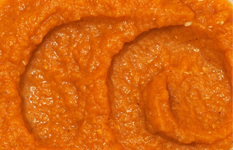 Close up of an Apple Cinnamon Buckwheat Crumble Babyblend showing the complexity of Stage 5