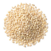 Whole Grain Barley icon