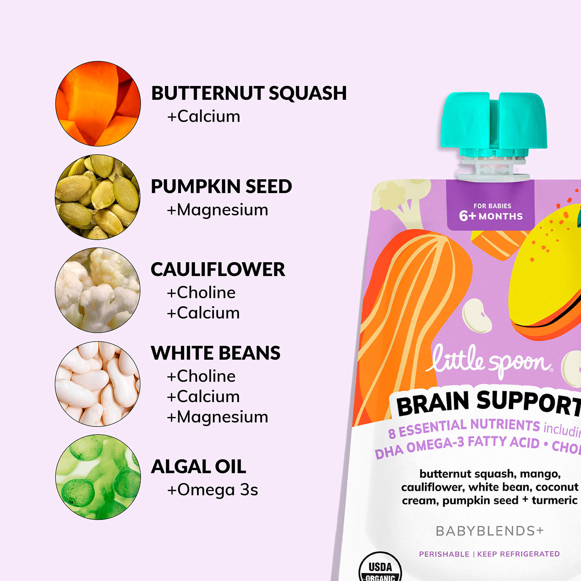 Butternut Squash, pumpkin seed, cauliflower, white beans and algal oil in the babyblends+ brain support pouch