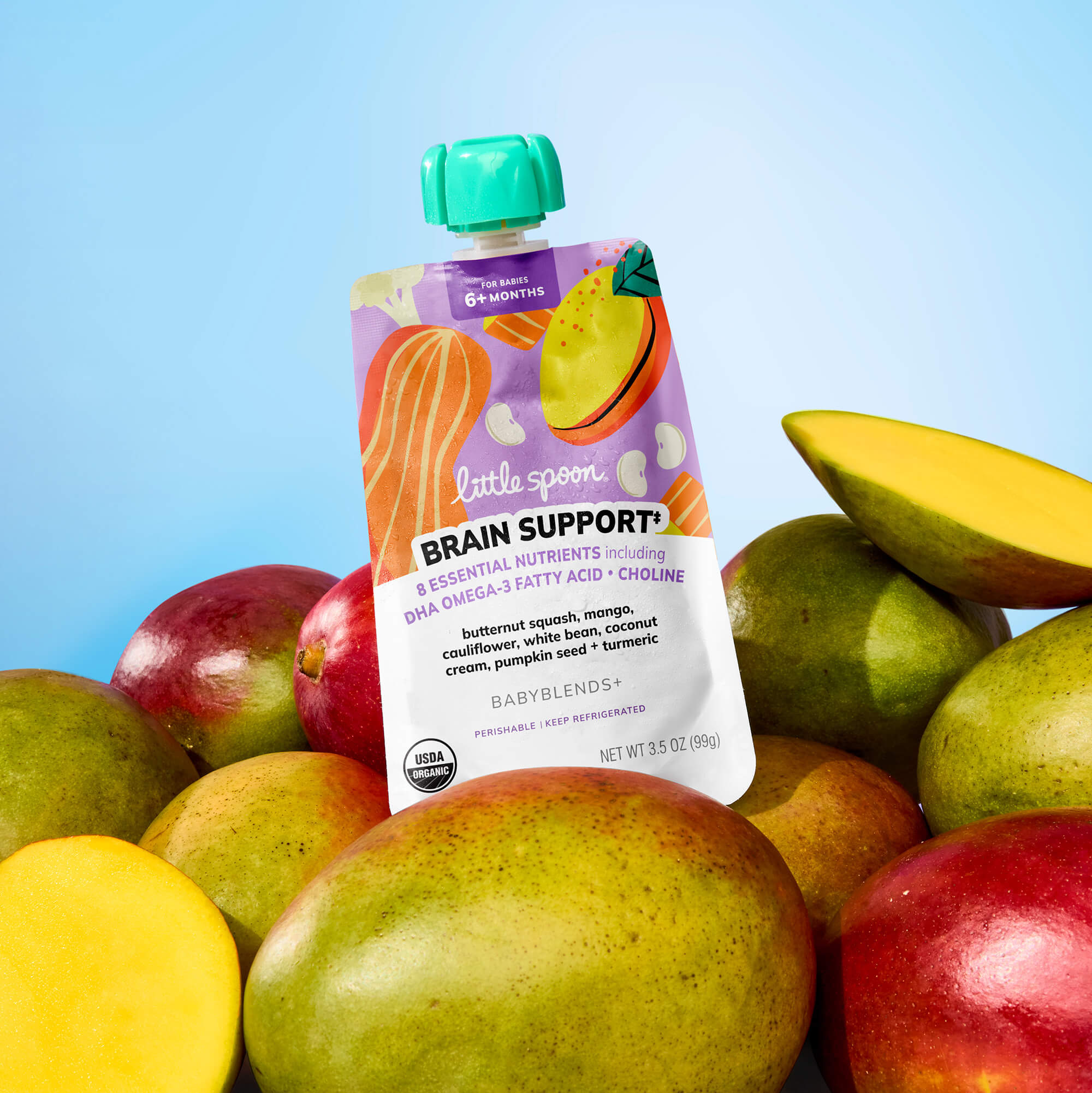 Butternut Squash, Mango, Cauliflower, White Bean, Coconut Cream, Pumpkin Seed + Turmeric Babyblend+ Pouch on top of mangos