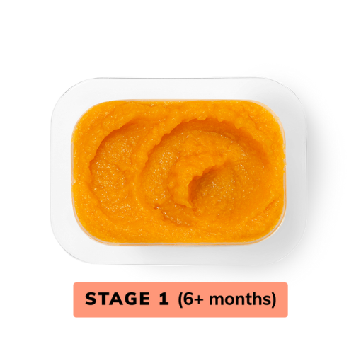 Butternut Squash Stage 1 Baby Food