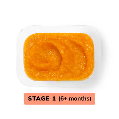 Mango Stage 1 Baby Food