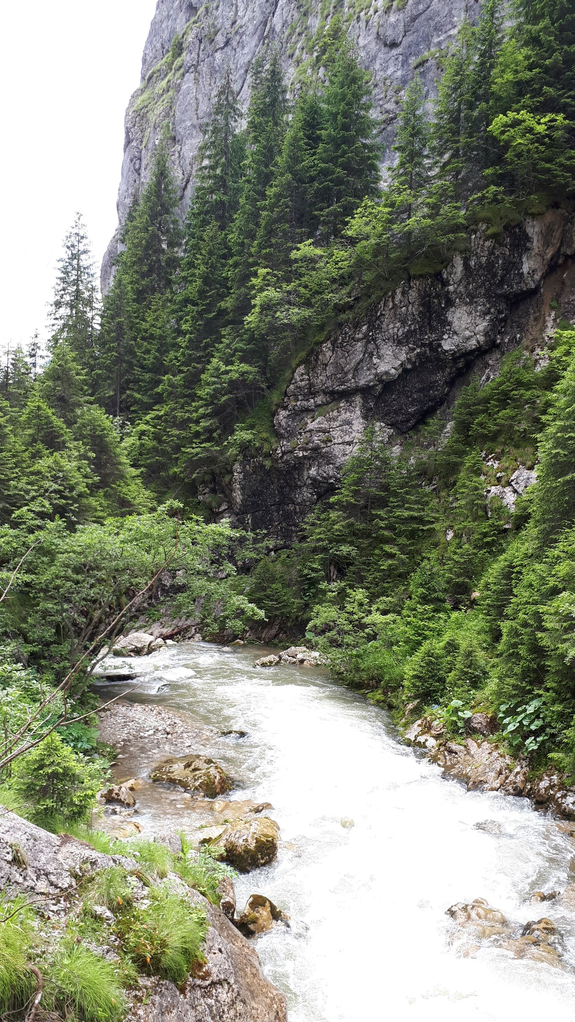 Mountain Scenery