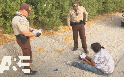 nye county pd live sheriff office arrested once again