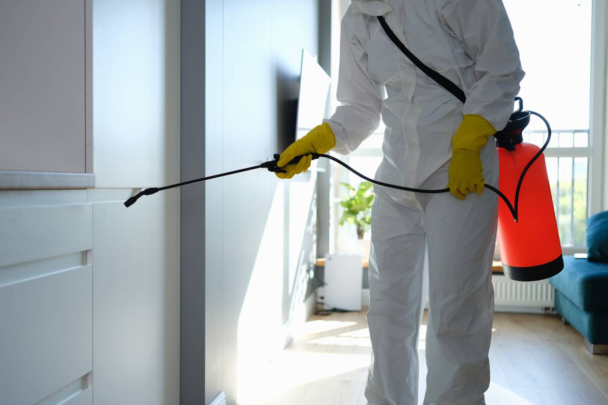 Pest Control Services Cincinnati Oh