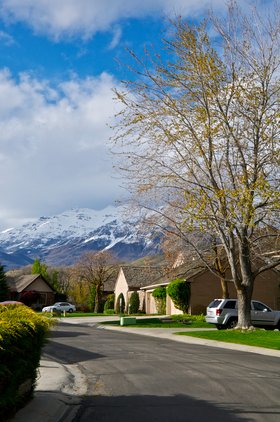Managing Your Own Rental? Image