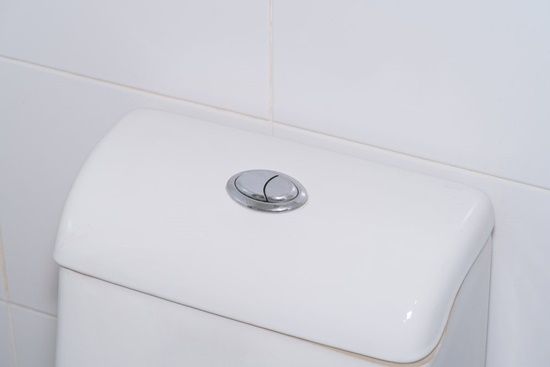 Using the Half Flush Button