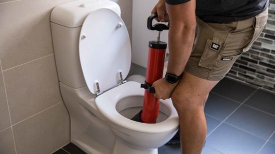 eastern suburb sydney - toilet repairs