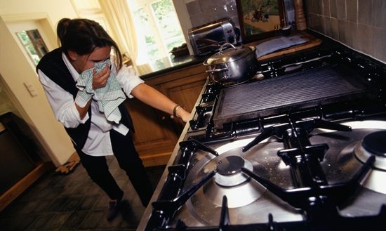 Gas Fitting and Repairs Service