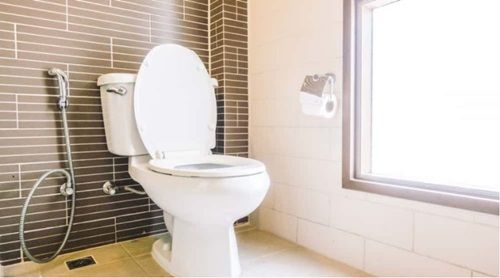 Upflush Toilet