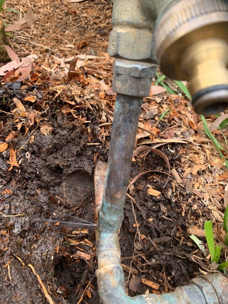 Plumber Loftus