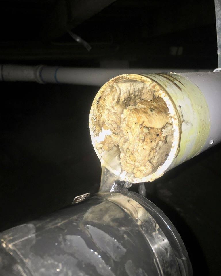 Plumber Sydney