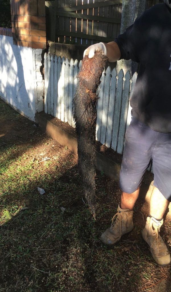 Loftus Plumber