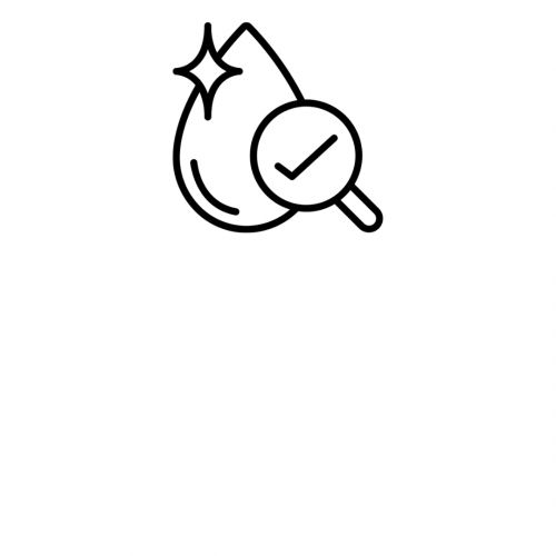 6 6