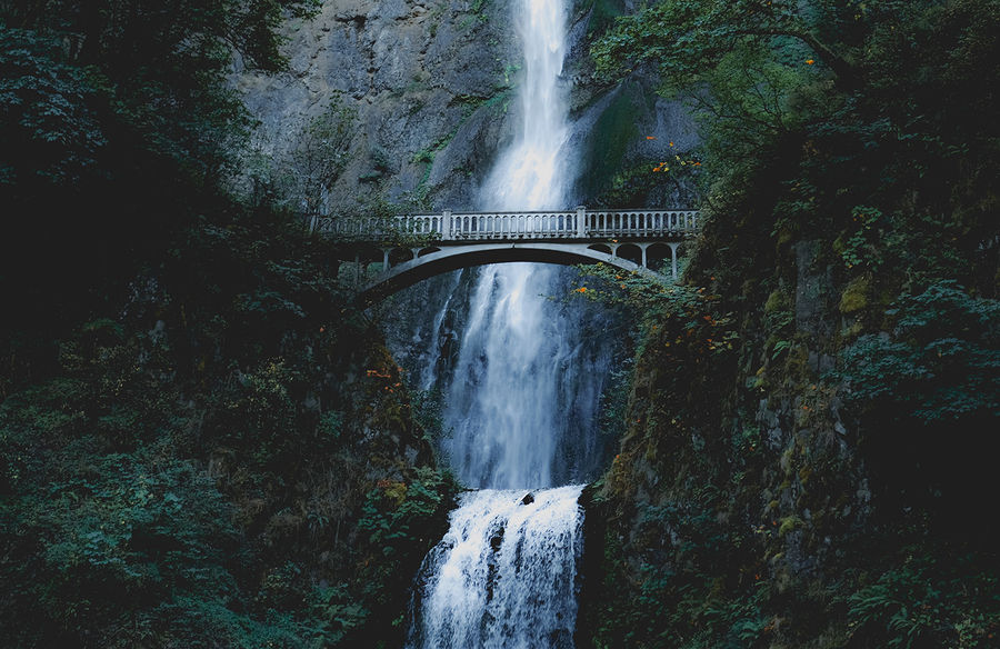 Robust Web Apps from Central Oregon