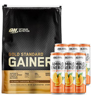 Optimum Nutrition Gold Standard Gainer 10Lb