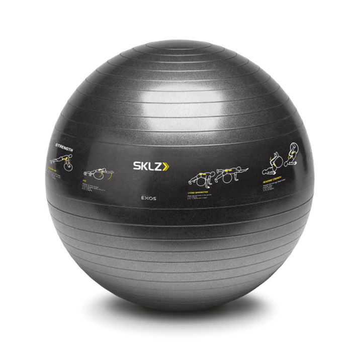 65 cm Swiss Ball