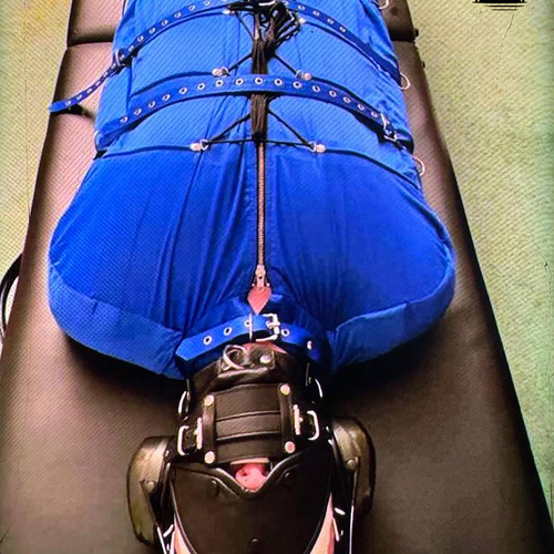 Toy 16