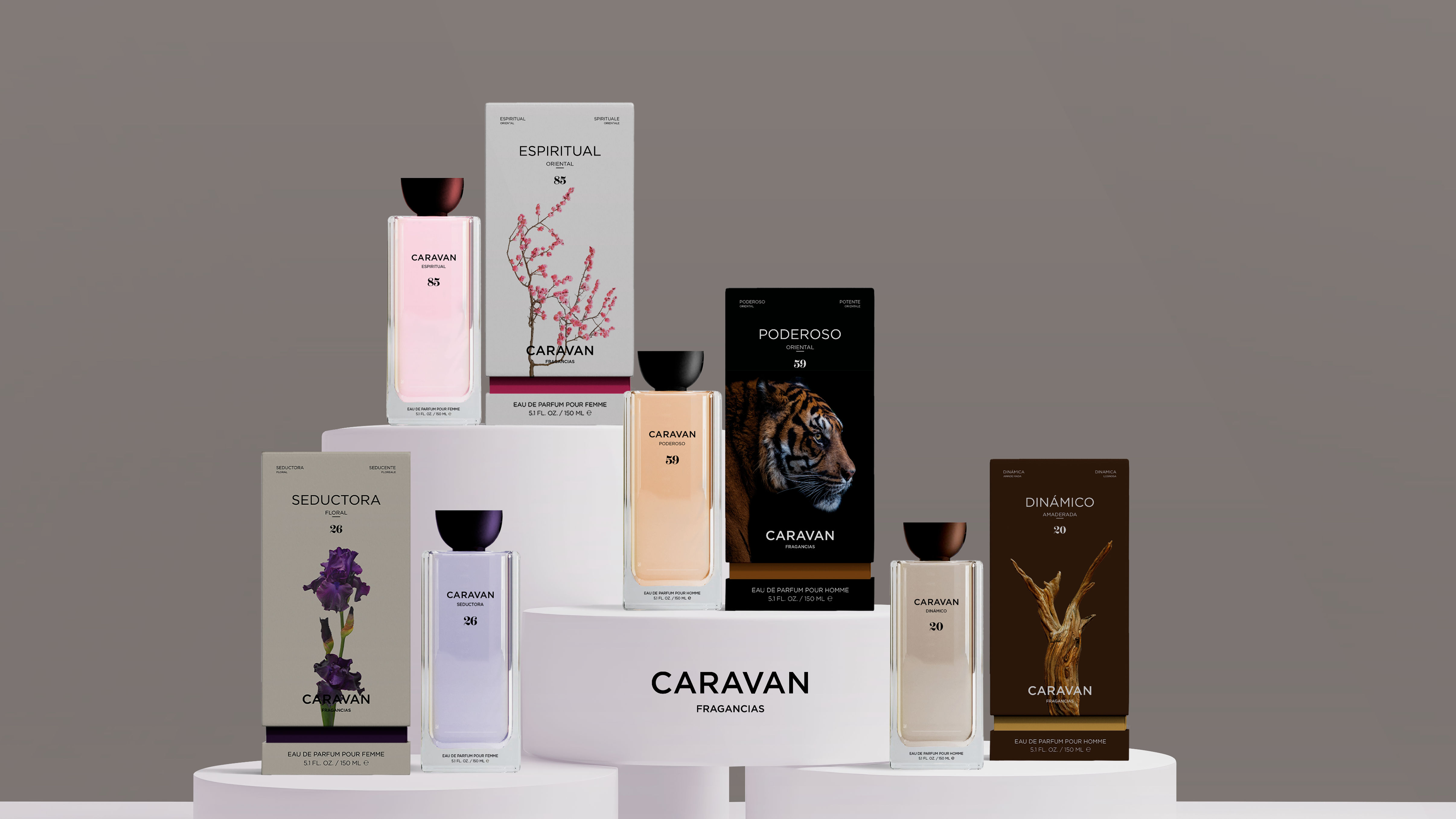CARAVAN Redesign and Packaging