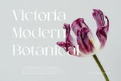 Chettavissto Poster 02