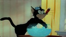 Tom és Jerry 2. Évad 12. Epizód online sorozat