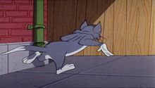 Tom és Jerry 11. Évad 8. Epizód online sorozat