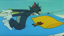 Tom és Jerry 5. Évad 11. Epizód online sorozat