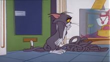 Tom és Jerry 11. Évad 12. Epizód online sorozat