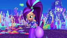 Shimmer és Shine, a dzsinn testvérek 4. Évad 22. Epizód online sorozat