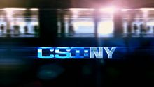 CSI New York 1. Évad 11. Epizód online sorozat