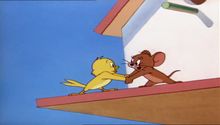 Tom és Jerry 5. Évad 12. Epizód online sorozat